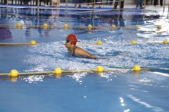 apdsf-games-28