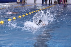 apdsf-games-41