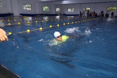 apdsf-games-47